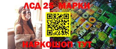 гидра Можга