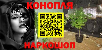 гидра Можга