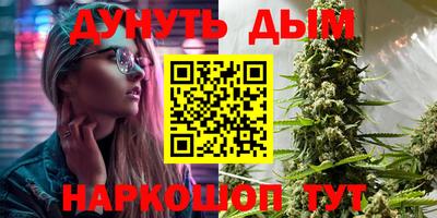 гидра Можга