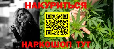 стаф Моздок